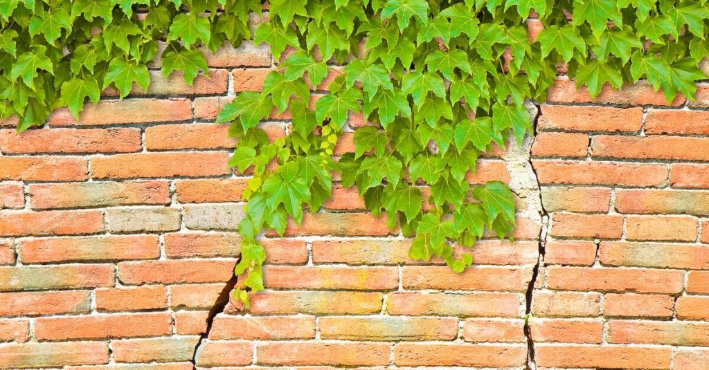 foundation damage on brick wall