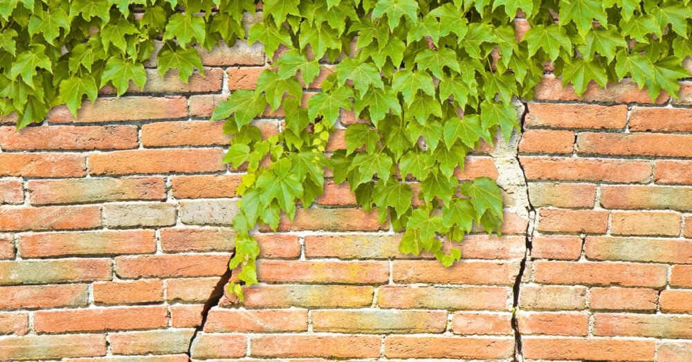 foundation damage
